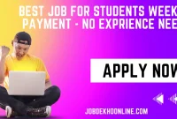 Best Job For Students Weekly Payment - No Exprience Need Fresher - JDO